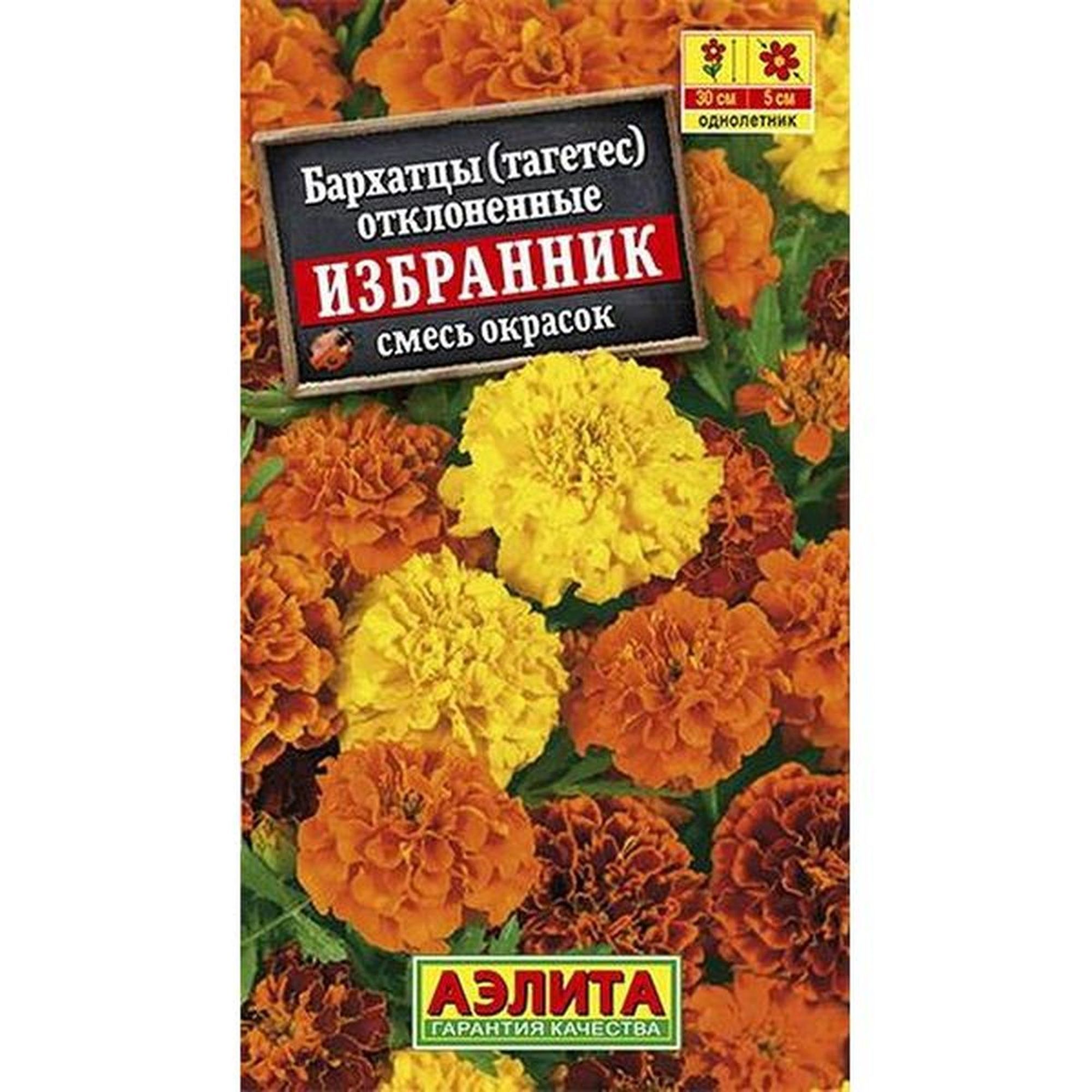 Чернобривцы цветы семена. Карточки бархатцы. Дилемма бархатцев читать. Бархатцы отклоненные махровые мандарин. Бархатцы танжерин обильноцветущие.