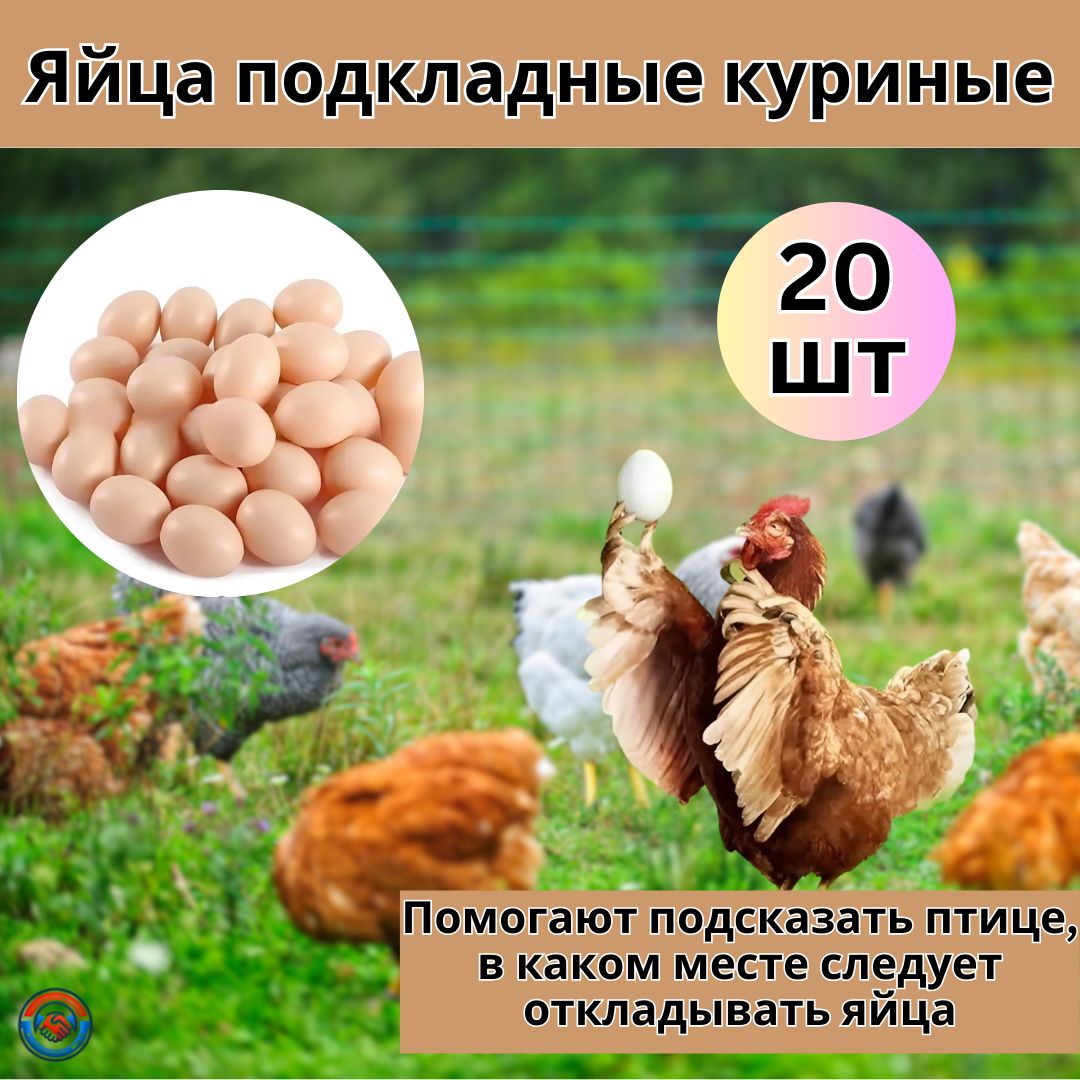 Яйцо подкладное куриное (муляж) 20 шт искусственные яйца для инкубаторов и курятников
