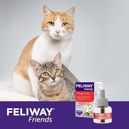 CEVA Feliway феромон для коррекции поведения кошек, запасной флакон, 48 мл