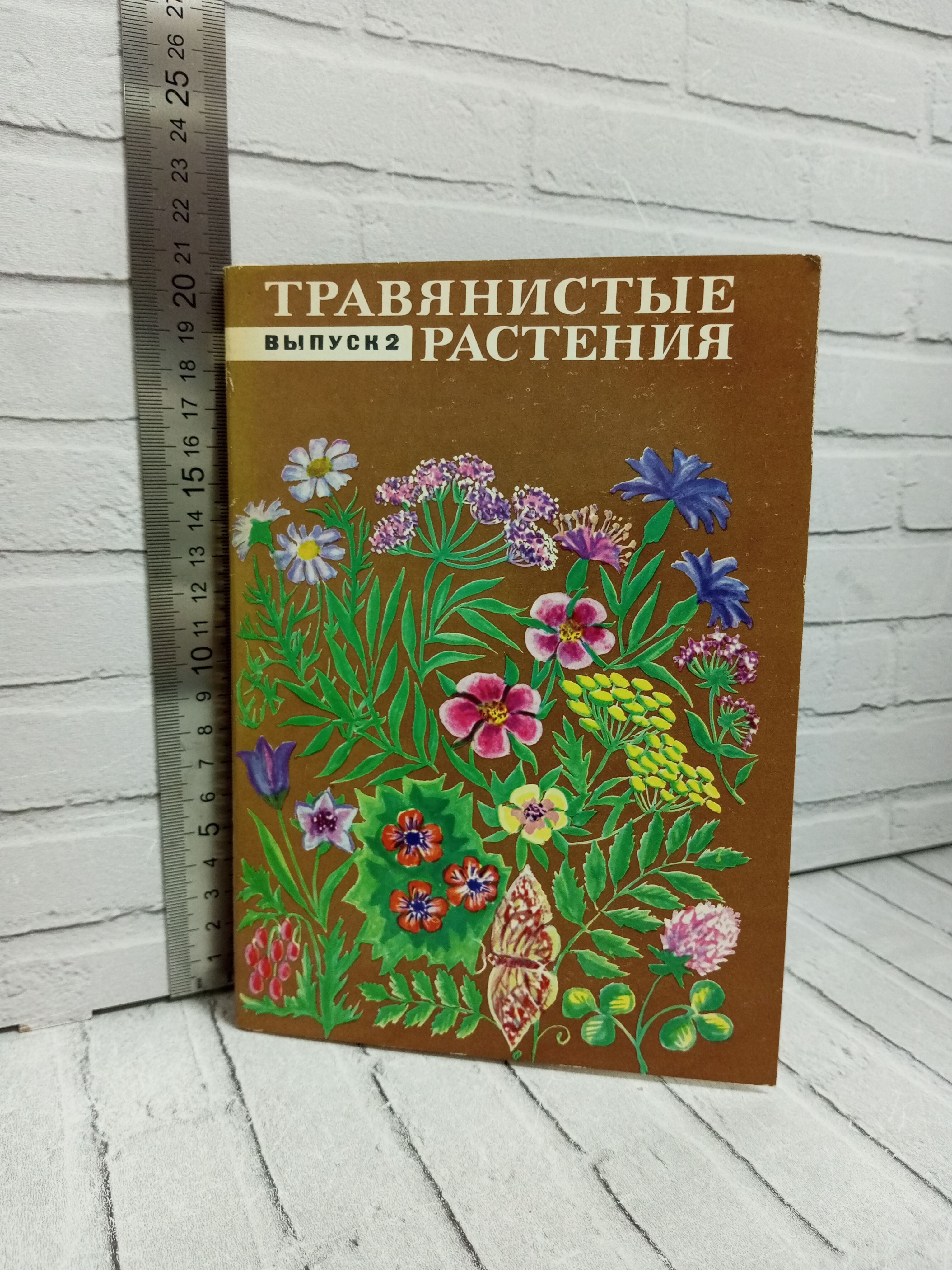 Канцелярия антикварная/винтажная Набор из 32 открыток Выпуск 2 Травянистые растения