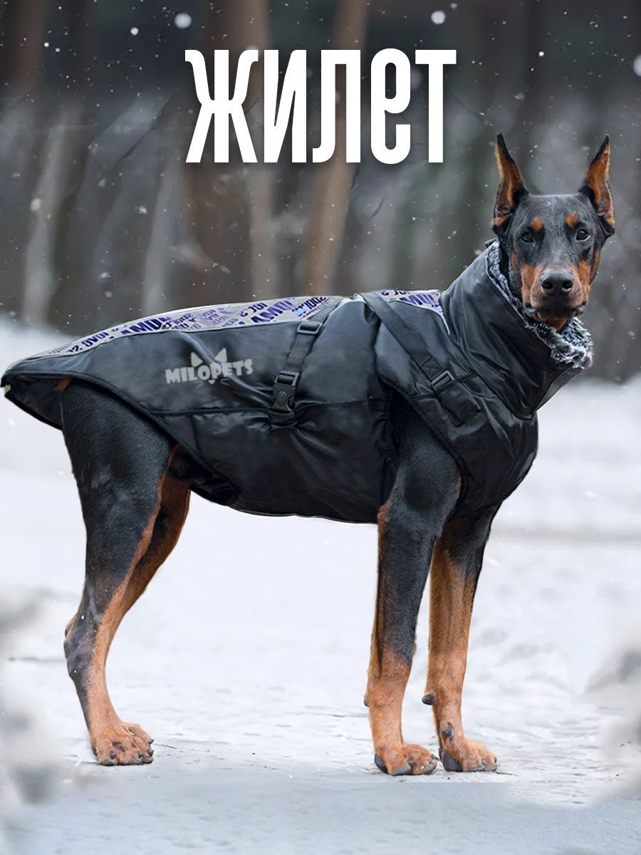 Одежда для собак средних и крупных пород MiloPets, жилет зима, 4XL купить на OZON по низкой цене (1097323052)