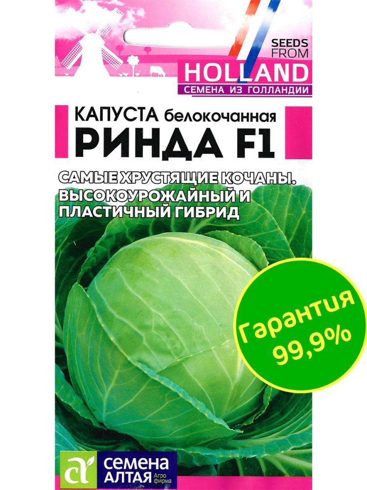 Капуста Ринда F1(图3)