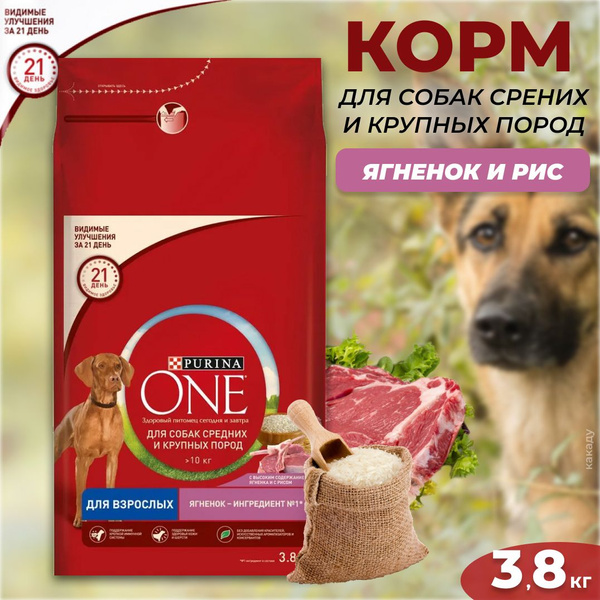 Purina ONE Сухой корм для взрослых собак средних и крупных пород, с ...