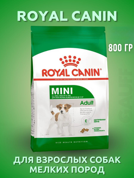 ROYAL CANIN Mini Adult для взрослых собак мелких пород 800гр - купить с ...