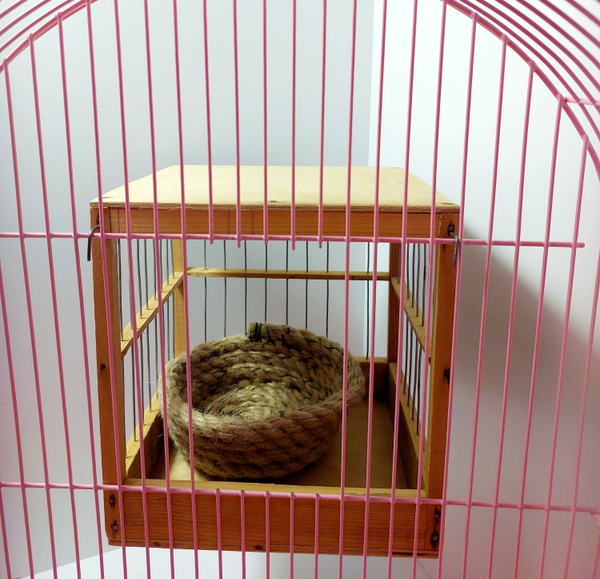 Вопросы и ответы о Гнездо для канареек из джута и сосны – OZON (1469862788)