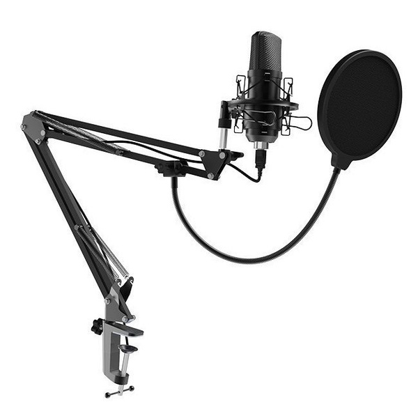 Микрофон студийный Ritmix 343895 - купить по выгодной цене в интернет ...
