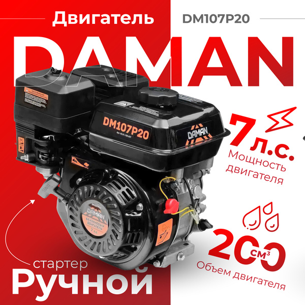Двигатель для садовой техники DAMAN DM107P20, РБ000023585 - купить по ...