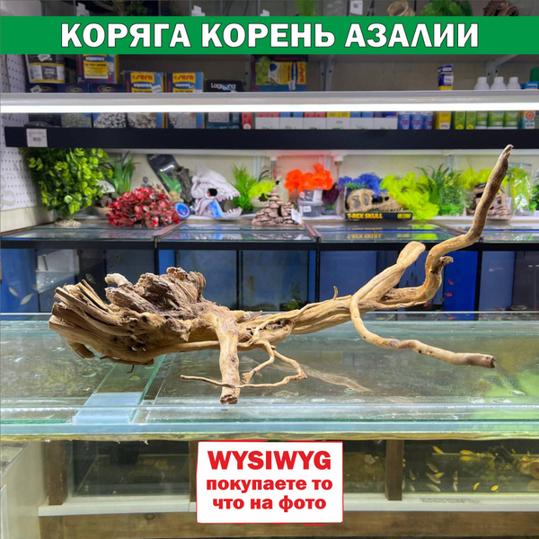Коряга для аквариума 51х41х23 см/ натуральный биологический фильтр для ...