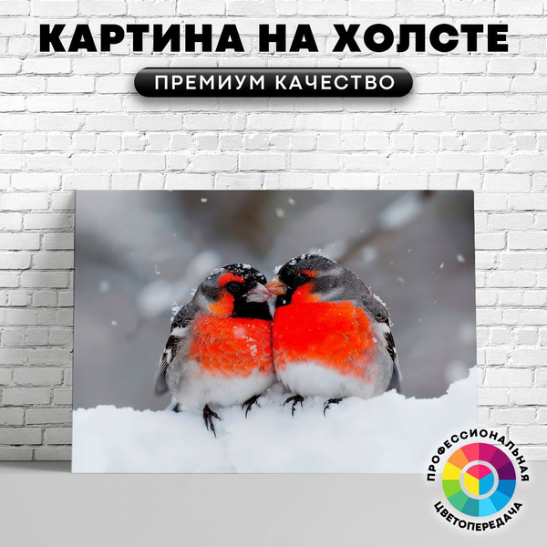 Картина на холсте ArtWild Два снегиря 40х30 см купить c доставкой на ...