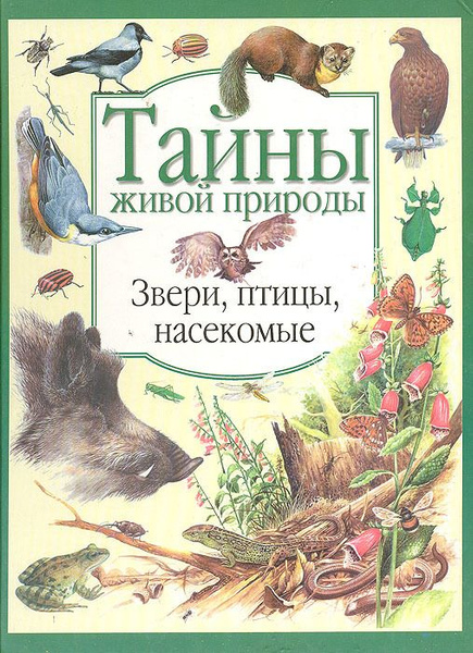 ТАЙНЫ ЖИВОЙ ПРИРОДЫ. ЗВЕРИ, ПТИЦЫ, НАСЕКОМЫЕ | Драйер Ева-Мария ...