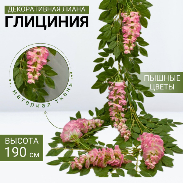 Лиана глициния декоративная - купить с доставкой по выгодным ценам в ...