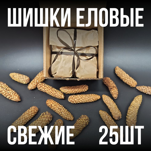 Купить Шишки Еловые 25 шт для поделок и рукоделия для декора и ...