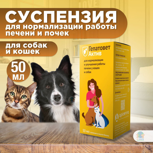 Apicenna Гепатовет Актив для собак и кошек, суспензия для нормализации ...
