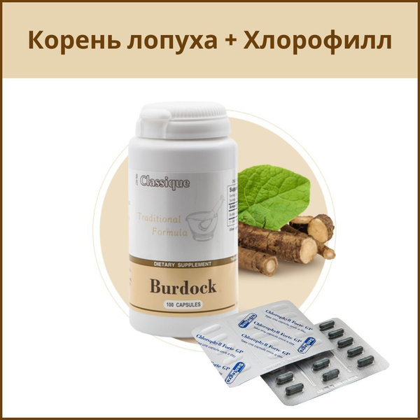 Корень Лопуха Burdock , хлорофилл на 2 недели Santegra экстракт ...