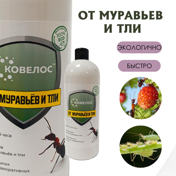 Средство от муравьев и тли, 1000 мг - купить с доставкой по выгодным ...