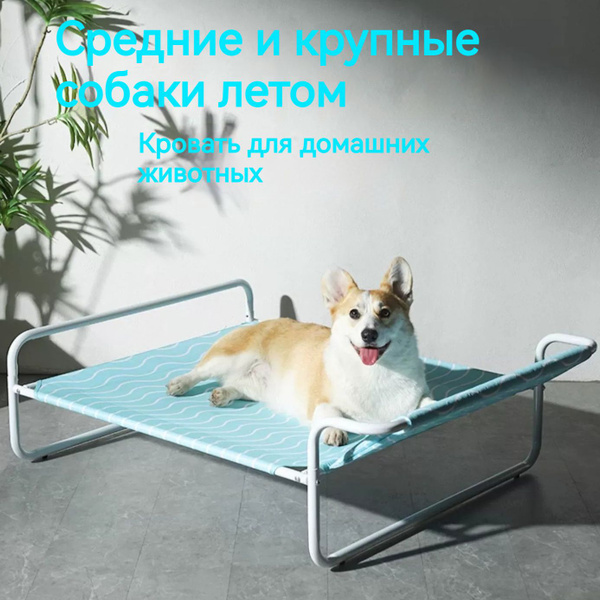 Раскладушка для средних и крупных собак - купить с доставкой по ...