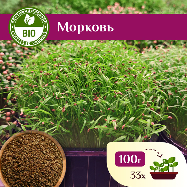 Морковь семена для проращивания 100г, Ильинские проростки - купить с ...