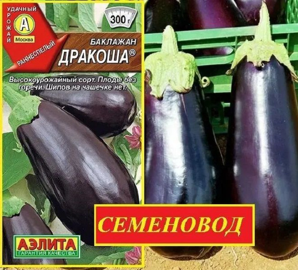 Баклажаны Аэлита Баклажан_ - купить по выгодным ценам в интернет ...