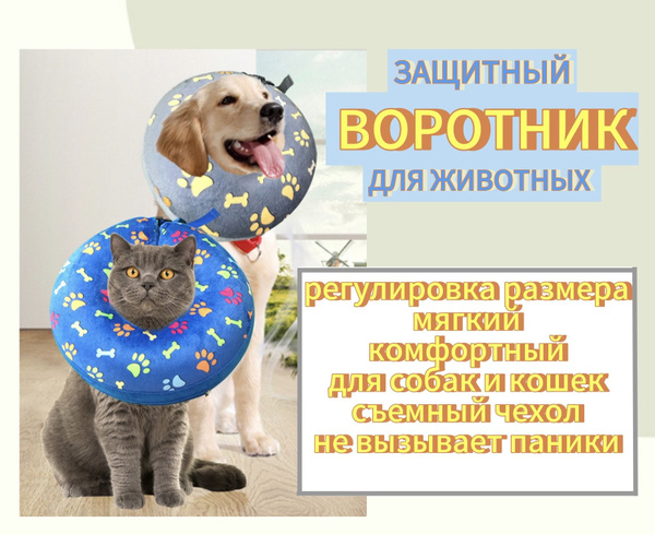 Характеристики Защитный воротник для собак и кошек. Мягкий, надувной ...