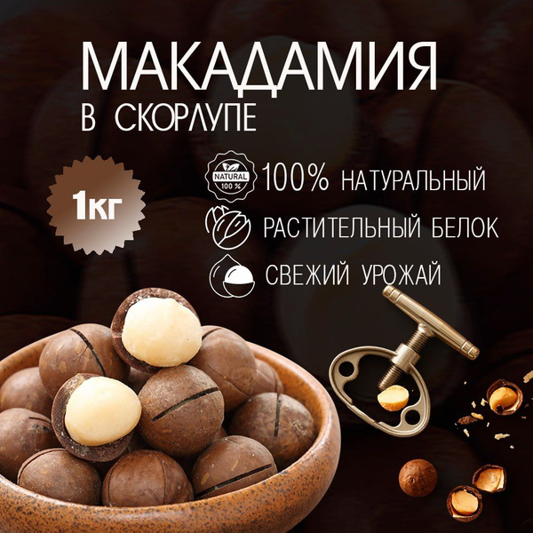 Макадамия орех 1 кг, орехи макадамия в скорлупе - купить с доставкой по ...