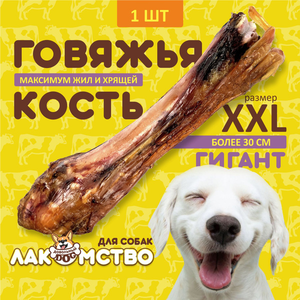 Лакомства для собак - 1 шт. Гигантская большая кость говяжья с жилами и ...
