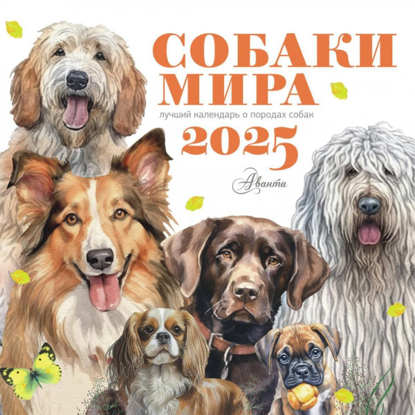 Календарь на 2025 год настенный Озон