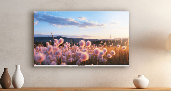 Topdevice Телевизор 43" 4K UHD, белый купить на OZON по низкой цене ...