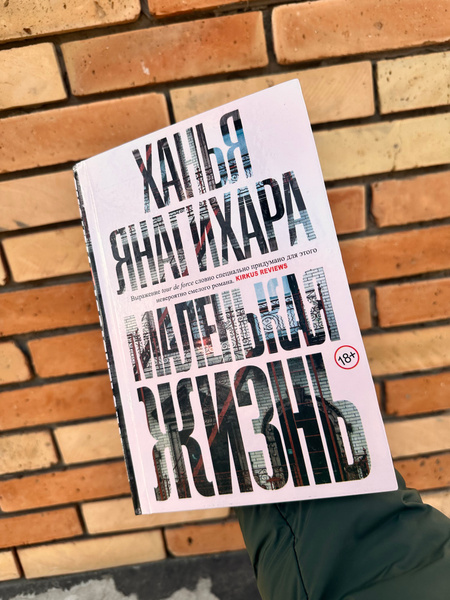 Маленькая жизнь (Ханья Янагихара) | Янагихара Ханья купить на OZON по ...