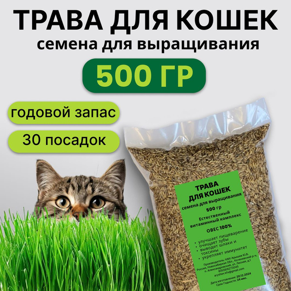 Трава для кошек. Семена овса для выращивания травы для кошек купить на ...