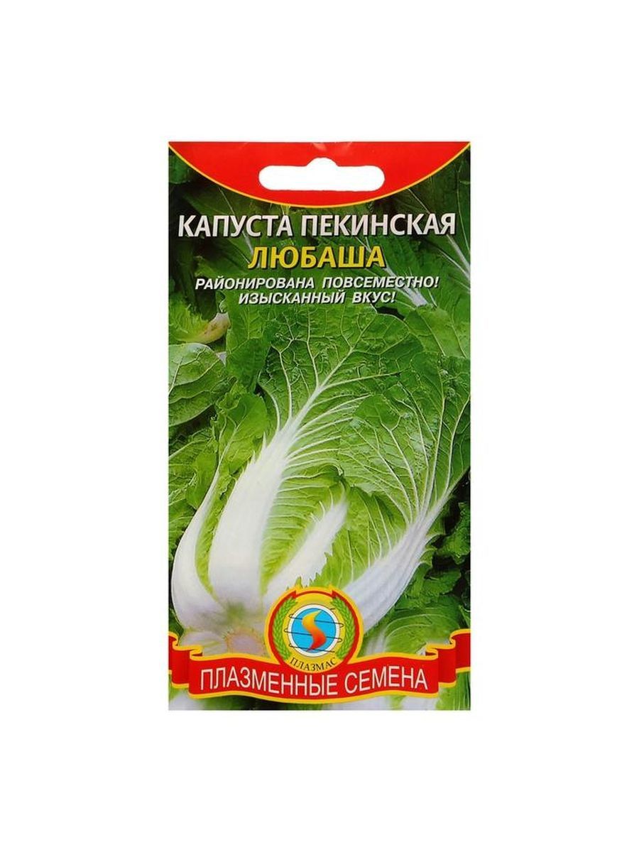 Пекинская Капуста Чача Купить Семена