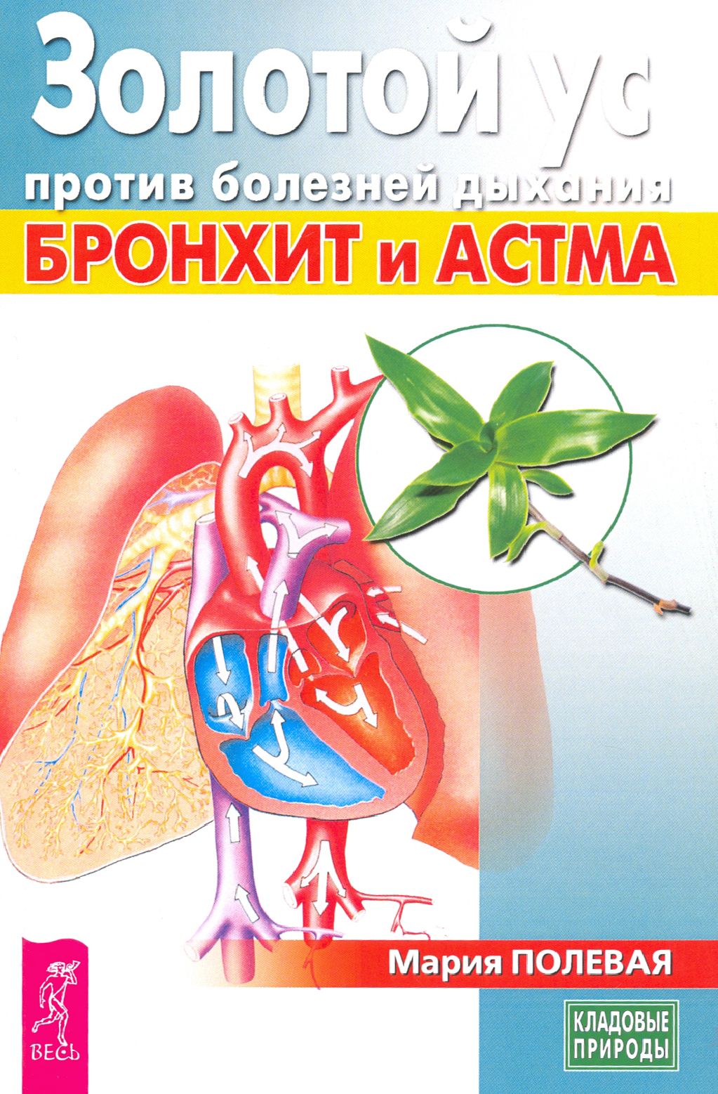 Золотой ус против болезней дыхания. Бронхит и астма | Полевая Мария Александровна