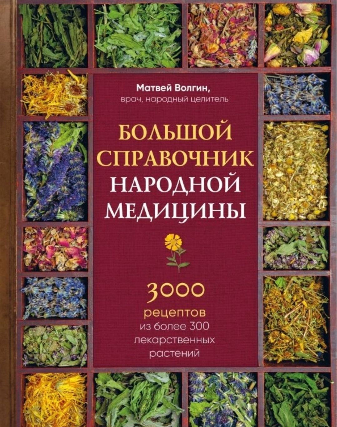 Большой Справочник Народной Медицины – купить в интернет-магазине OZON по  низкой цене