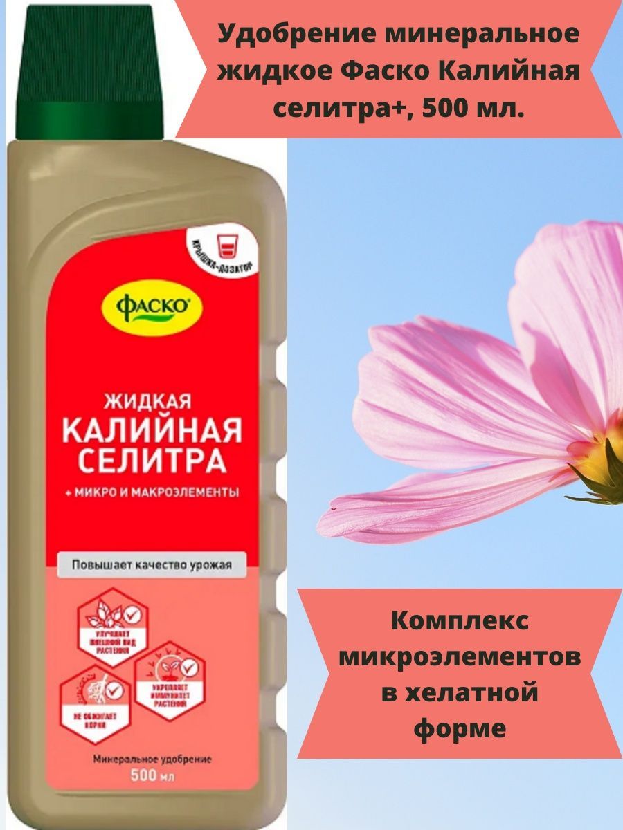 Влияние калийной селитры на фотосинтетическую активность растений
