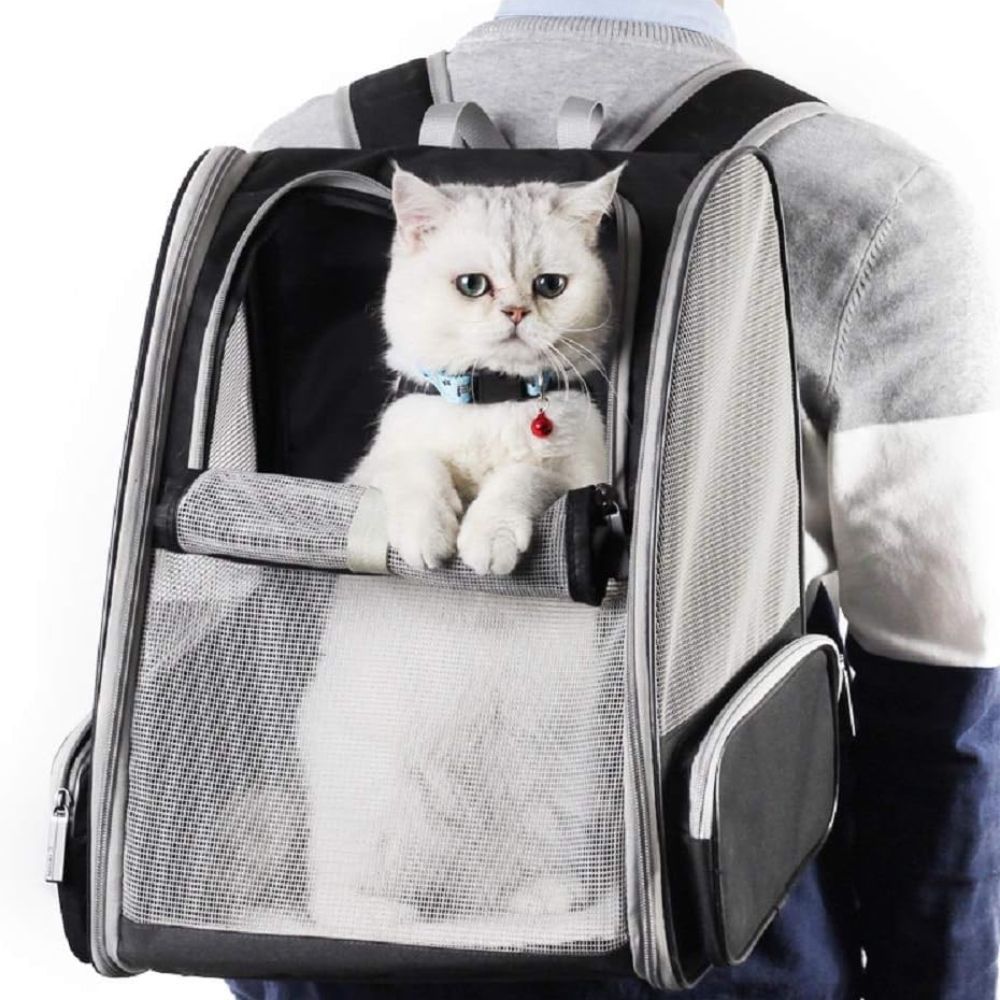 Рюкзаки для кошек и собак. Рюкзак Pet Carrier. Pet Carrier 5 переноска. Переноска Cat Carrier. Рюкзак переноска для кошек.