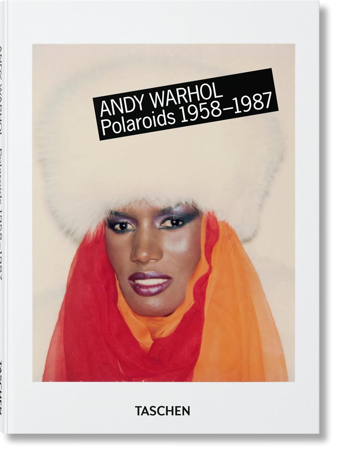 Andy Warhol. Polaroids 1958-1987 | Golden Reuel, Woodward Richard B.