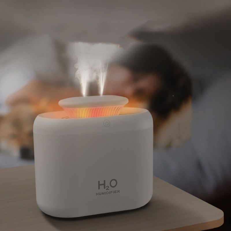 H20 humidifier