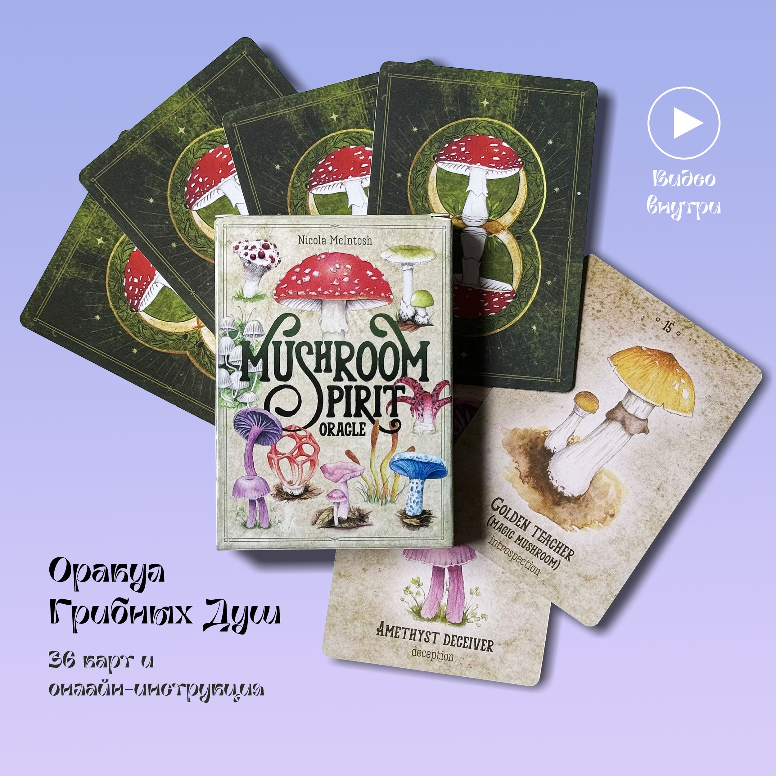 Карты Оракул Грибных душ 36 шт Mushroom Spirit - купить с доставкой по  выгодным ценам в интернет-магазине OZON (1552246139)