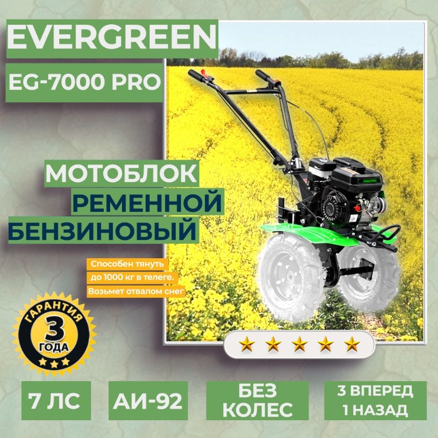 Мотоблок бензиновый EVERGREEN EG-7000 PRO, БЕЗ КОЛЕС, сельскохозяйственная  машина, мотокультиватор, 7 лс, 3 вперед 1 назад - купить мотоблок по  выгодной цене в интернет-магазине OZON (1555953051)