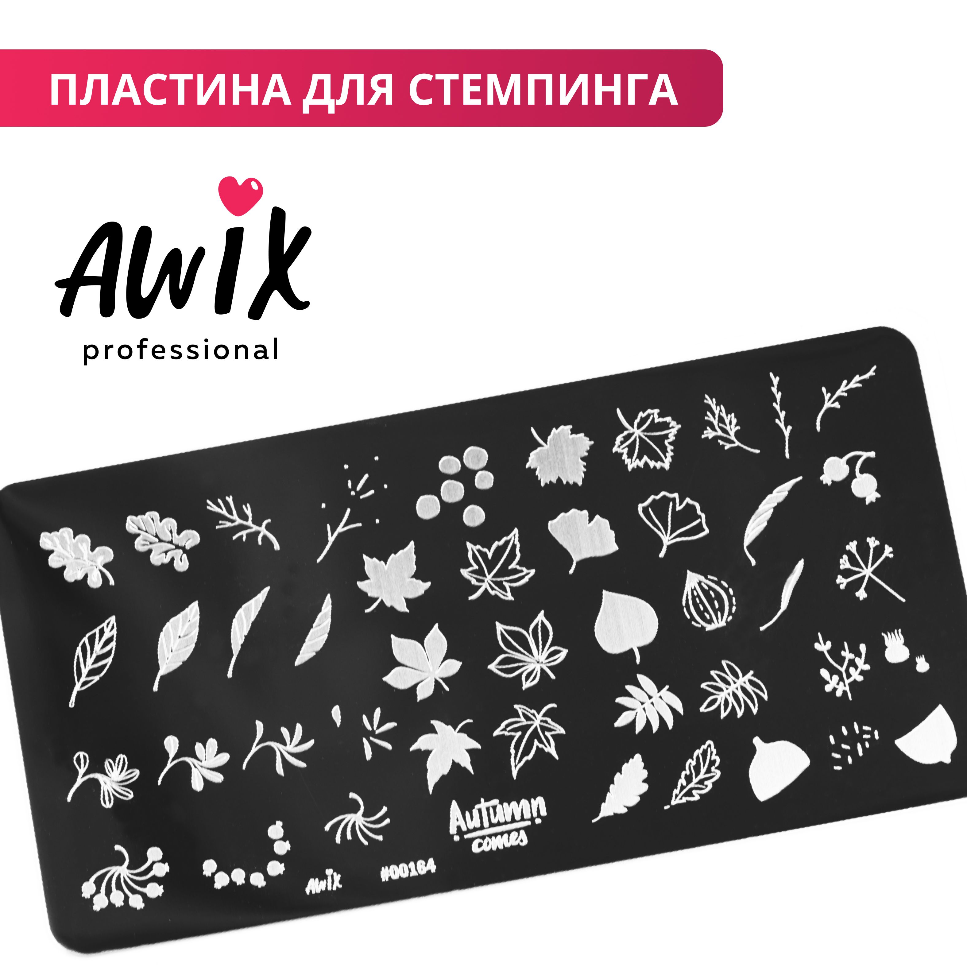 Awix, Пластина для стемпинга 164, металлический трафарет для ногтей осень, листья