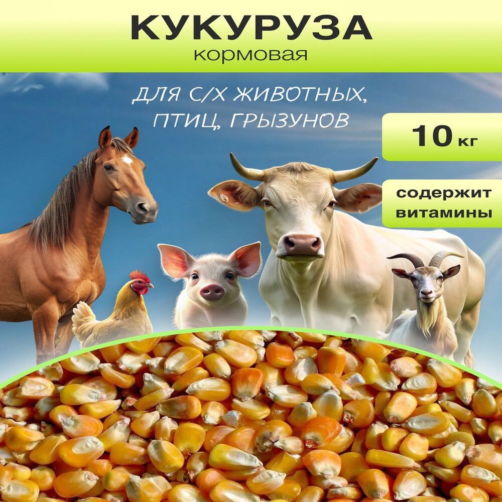 Кукуруза для птиц и сельскохозяйственных животных / Сухой корм для кур, бройлеров, лошадей и свиней / Подкормка для рыбы, 10 кг