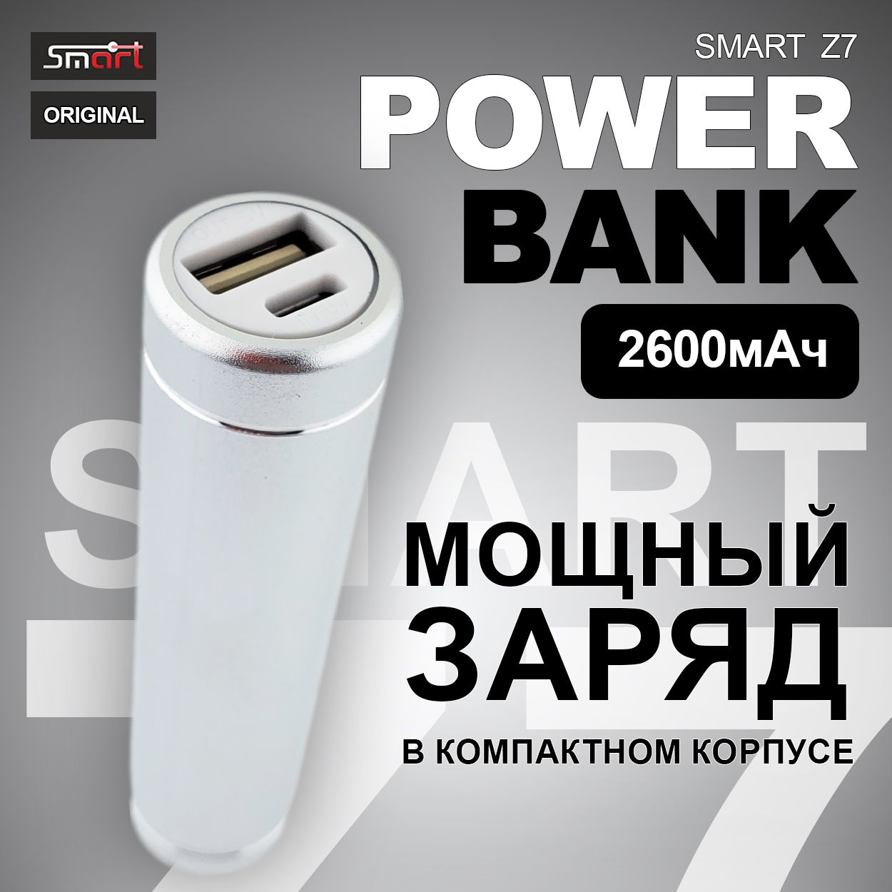 SmartВнешнийаккумуляторПортативноезарядноеустройство(PowerBank),2600мАч,серебристый