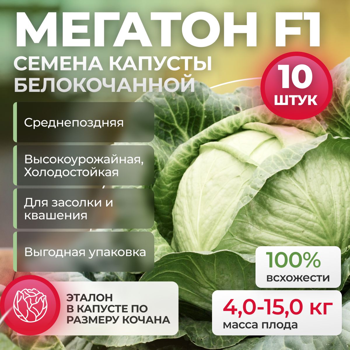 Мегатон F1 семена капусты белокочанной, 10 шт (Bejo / ALEXAGRO). Высокоурожайный, среднепоздний гибрид для открытого грунта