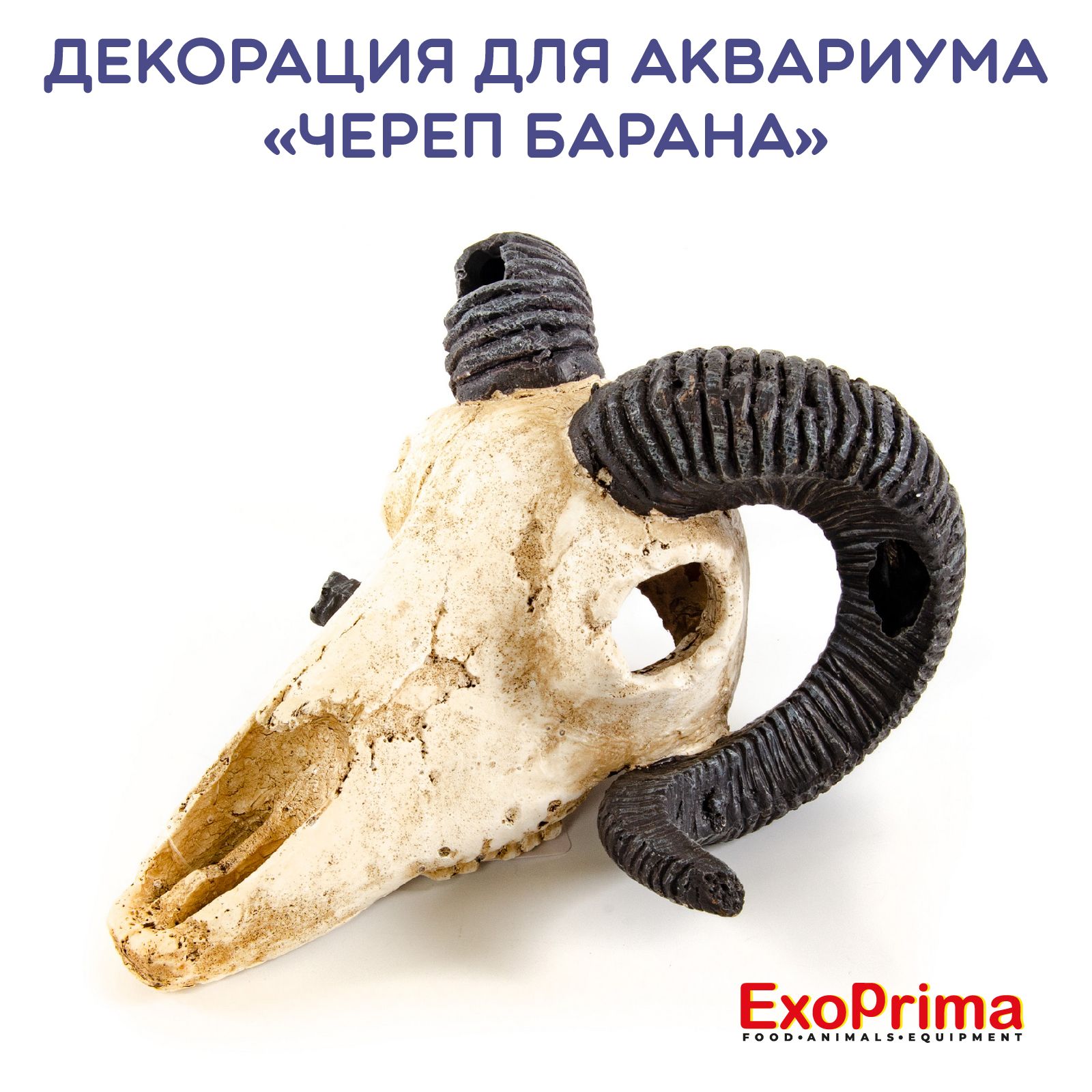 Декорация для аквариума EXOPRIMA "Череп барана", 18,5х17х11см