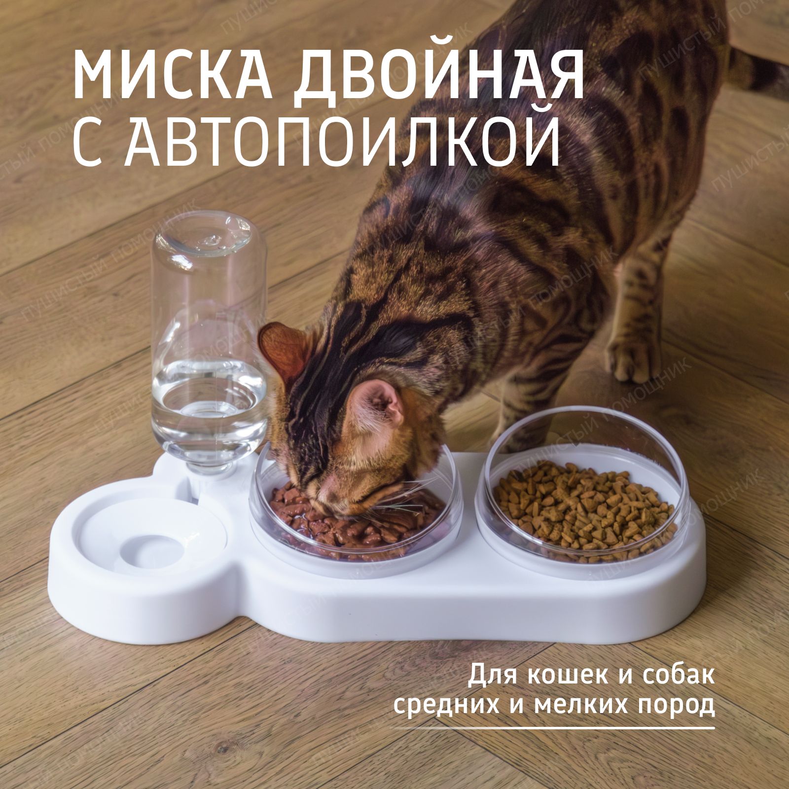 Миска для кошек собак, миски для кошек собак, для животных