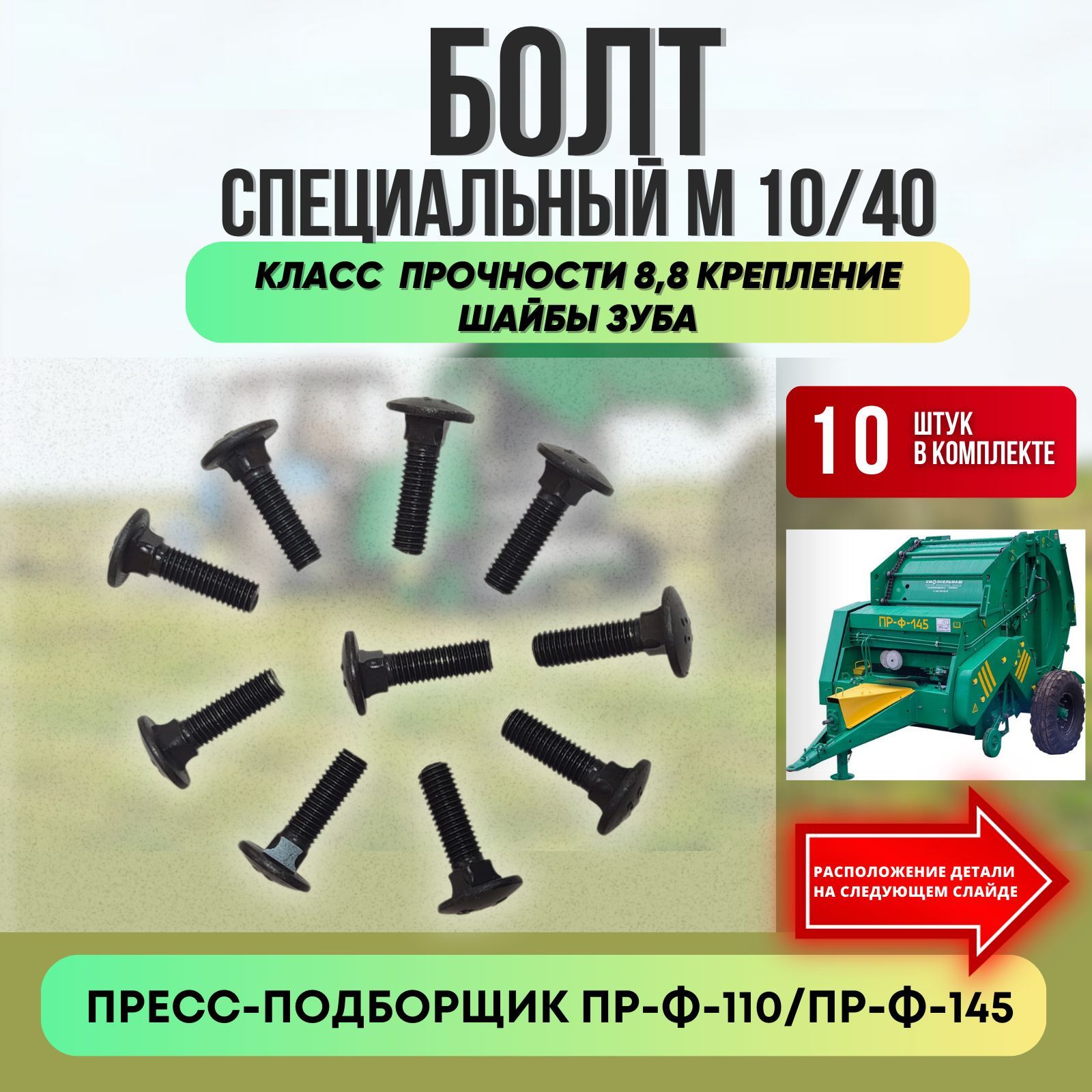 Болт специальный ПРФ М10/40 ПР-Ф-110/ПР-Ф-145 10 ШТУК