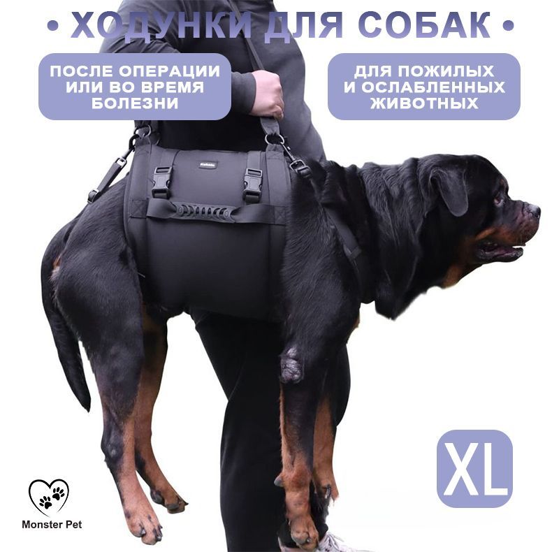 Ходунки для собак, поддержка лап пожилых и травмированных собак, размер M