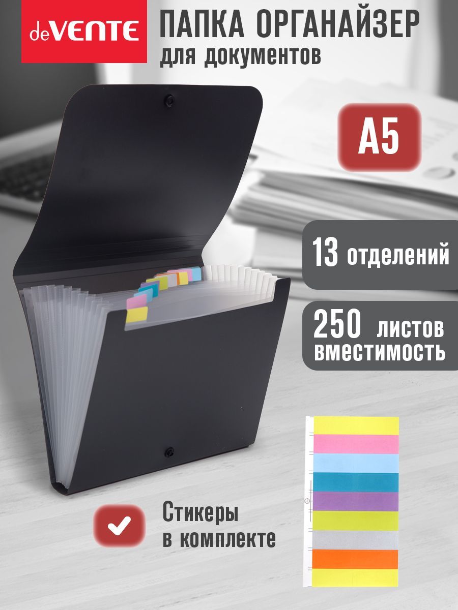 Папка на кнопке с 12-ю отделениями, для документов A5 (23x17,5x2,5 см) купить на OZON по низкой цене (1586491614)