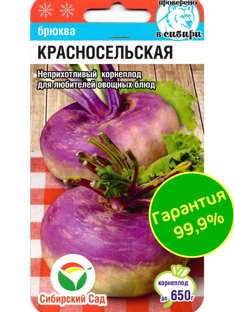 Брюква Красносельская(图3)