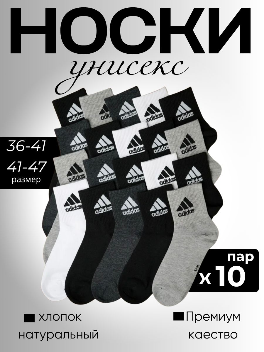 Носки,10пар