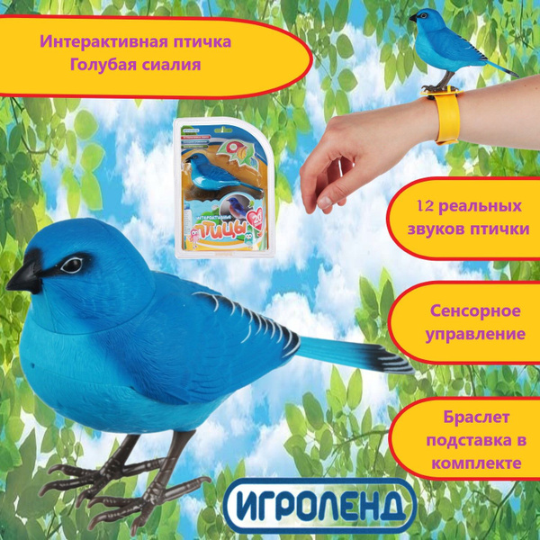 Игрушка интерактивная музыкальна поющая птичка Голубая Сиалия - купить ...